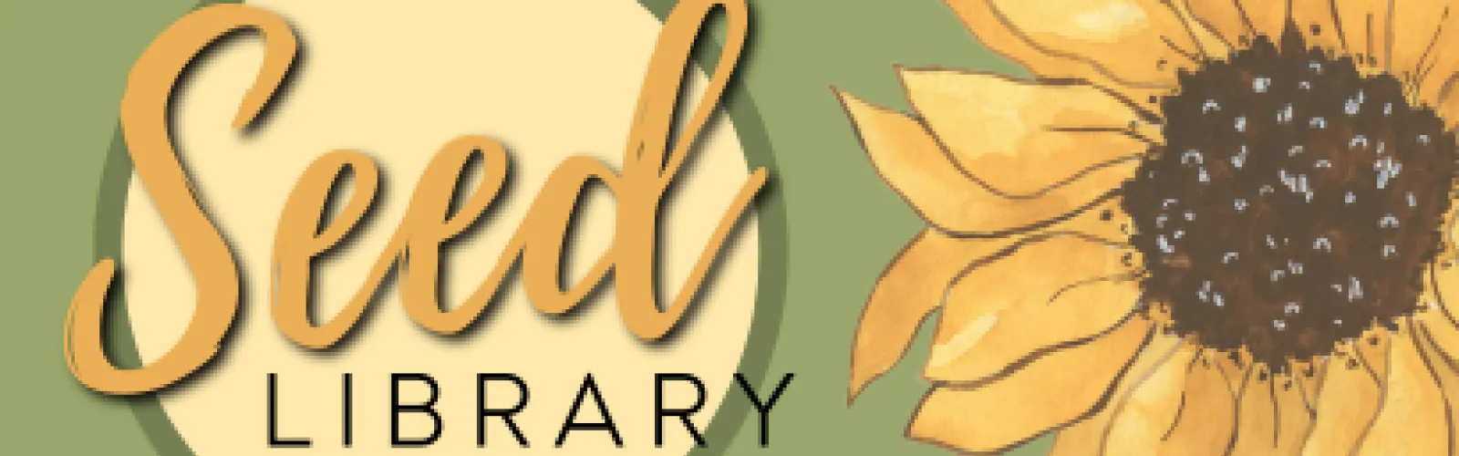 Donate or pick up seeds from our seed library!